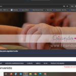 Captura de pantalla 2025-02-26 233043